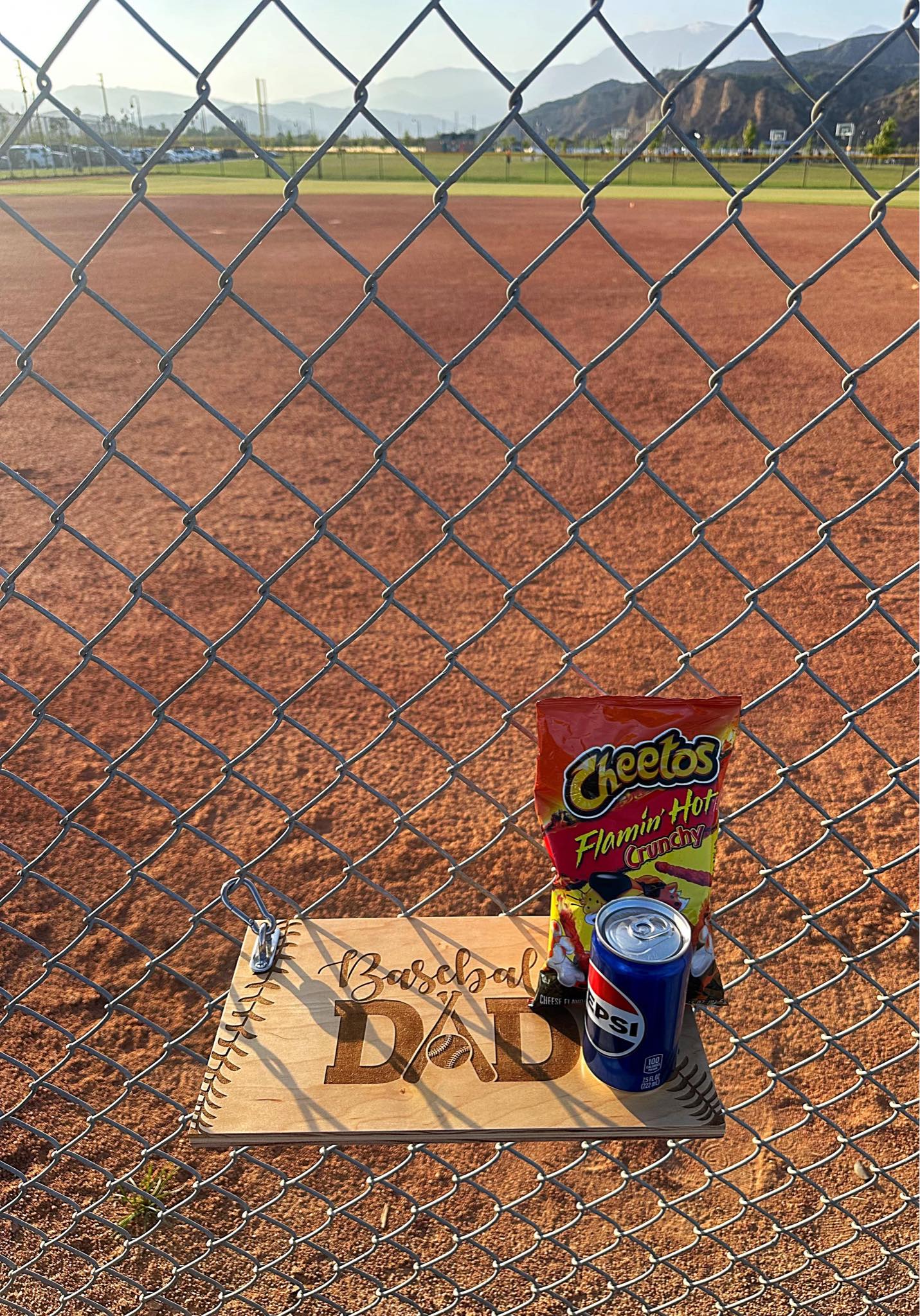 The Ball Game Buddy